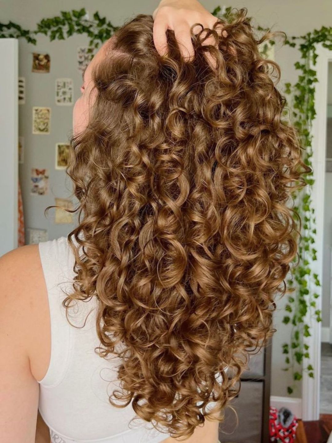 Webstorie cabelo cacheado